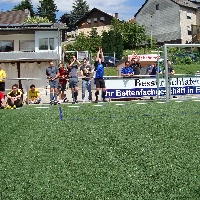Mainzelmania Vol 2 2010