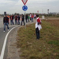 FSV Mainz vs Werder Bremen 2011