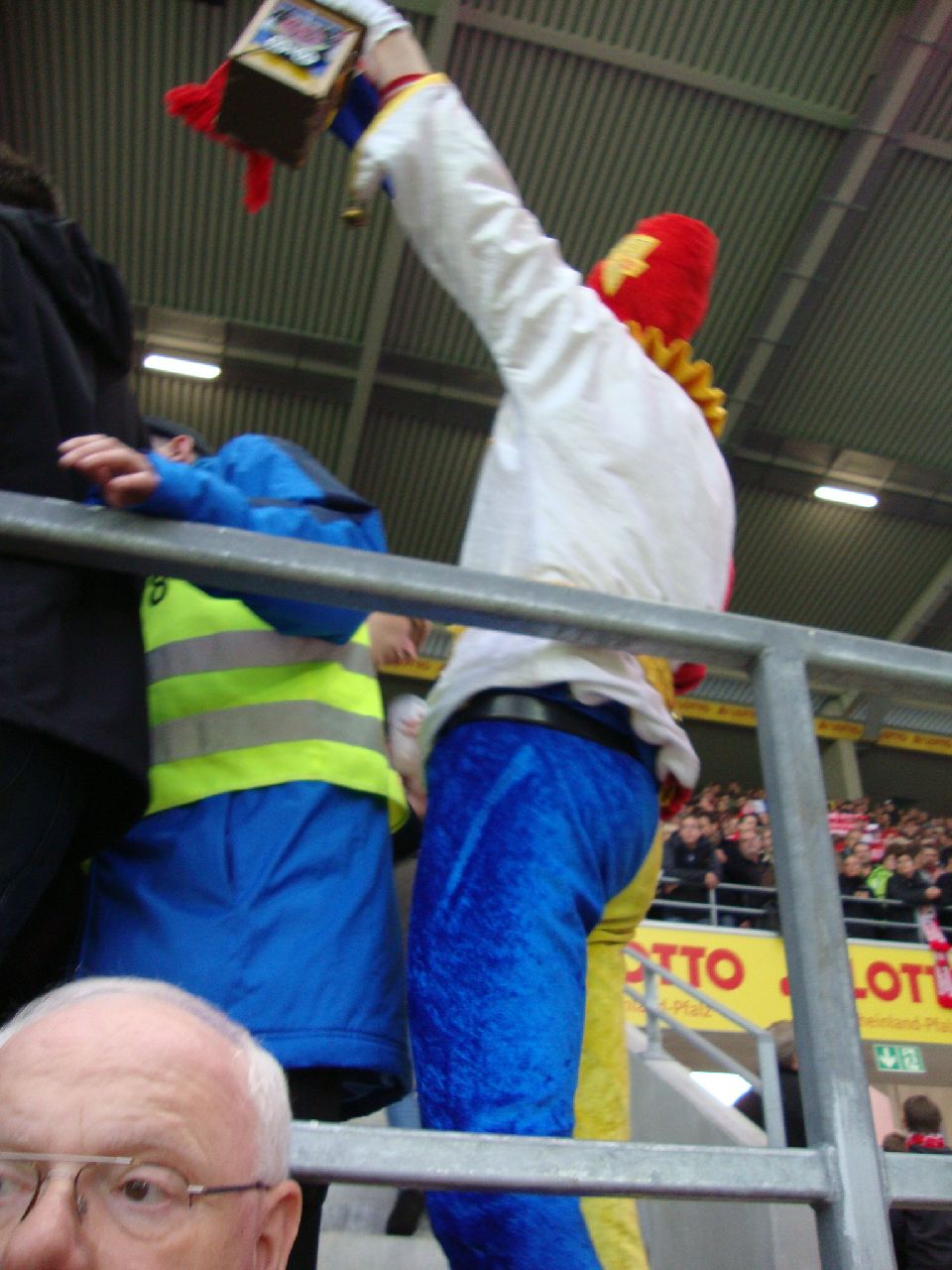 FSV-Mainz-vs-Werder-Bremen 2011