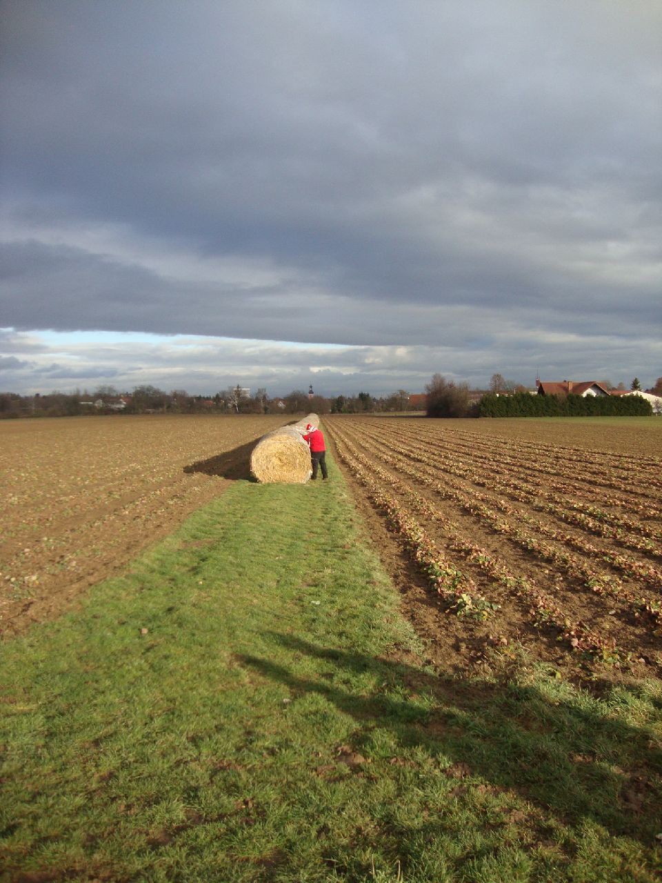 Abschlussfahrt-Mainz 2012