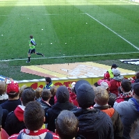 FSV Mainz vs Hamburger SV 2013