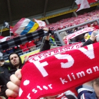 FSV Mainz vs Hamburger SV 2013