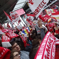 FSV Mainz vs Hamburger SV 2013