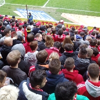 FSV Mainz vs Hamburger SV 2013