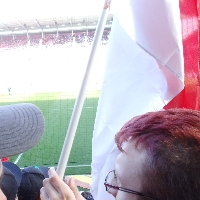 FSV Mainz vs Hamburger SV 2013