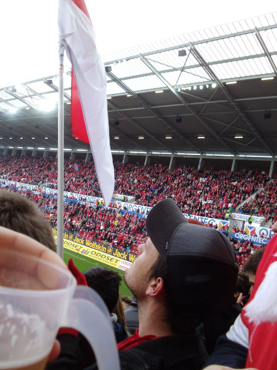 FSV-Mainz-vs-Hamburger-SV 2013