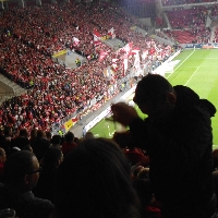 FSV Mainz vs TSG Hoffenheim 2014