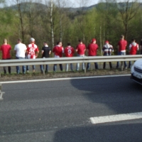 FSV Mainz vs Schalke 04 2015