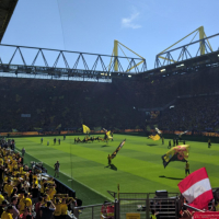 BVB vs FSV Mainz 2016