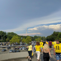 BVB vs FSV Mainz 2016